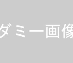 タイトルが入りますタイトルが入ります